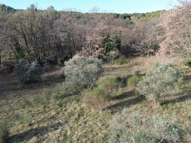 Éguilles Vente Terrain 13