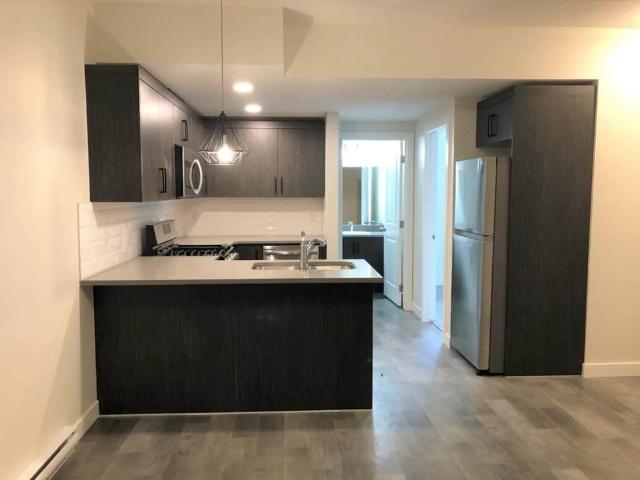 Edmonton Unfurnished apartment Rental in Castledowns New and Modern Lower Level Suite in Griesbach!