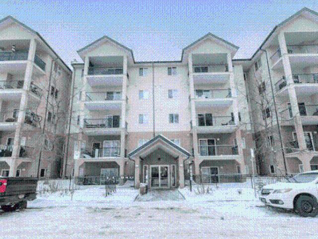 Edmonton Unfurnished apartment Rental in Parkdale Bright and Open 1 Bedroom Close to Transit