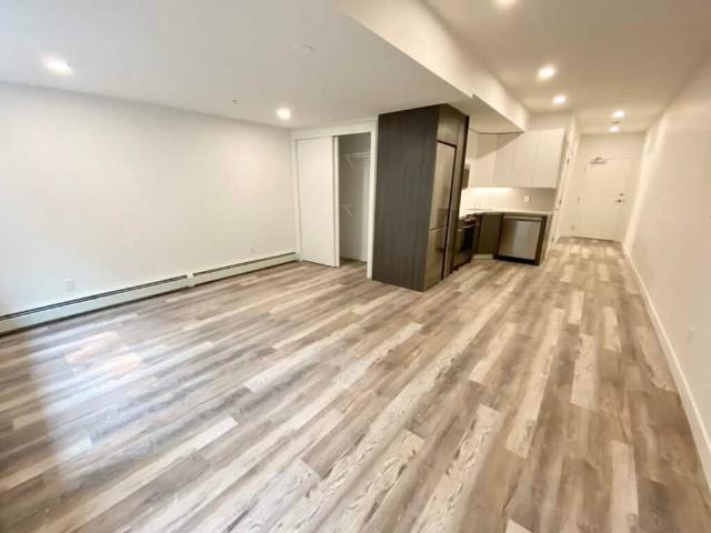 Edmonton Unfurnished apartment Rental in Queen Alexandra/Garneau Lower Level Modern STUDIO