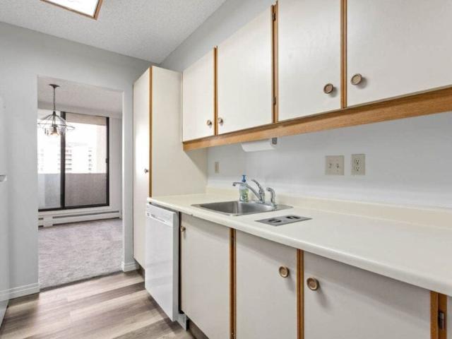 Edmonton Unfurnished Condo Rental in Cromdale Amazing River Valley and City Views, Plus Heat, Water and Power Included!