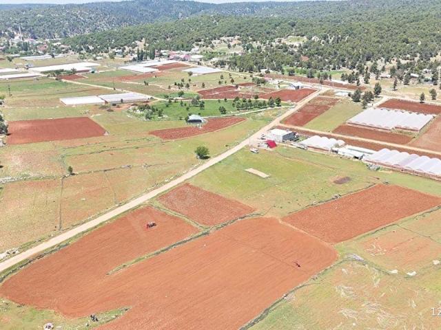 EDDEMLİ YAĞDA'DA 2.245 M2 SATILIK TARLA