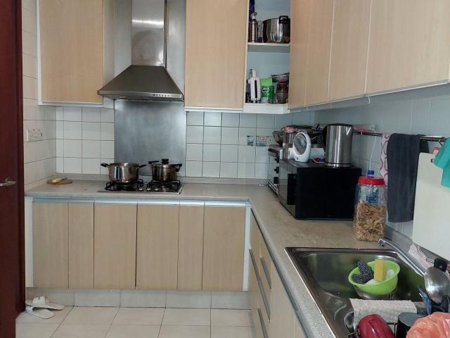Edelweiss Park Condominium D17, Condominium