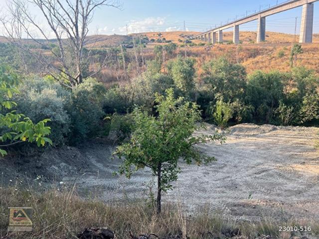 EDİGEDE ASFALTYOL KENARI 1200M2 MEYVE AĞAÇLI KÖY KENARI BAHÇE