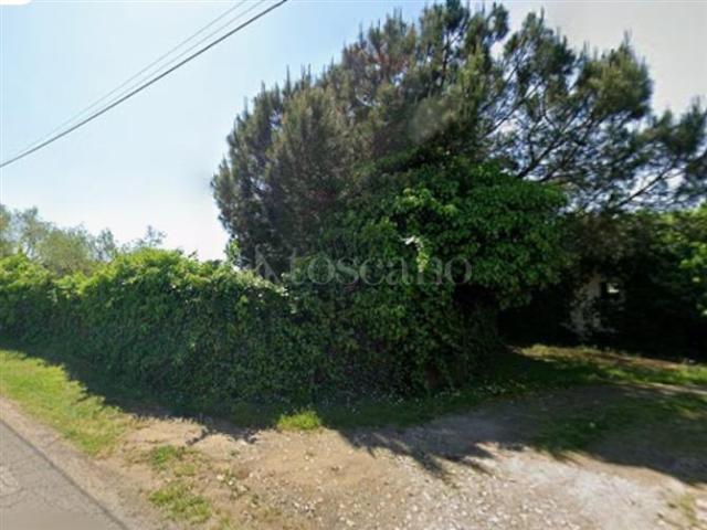 Edificabile Residenziali di 12000 mq a Vigna Di Valle Bracciano