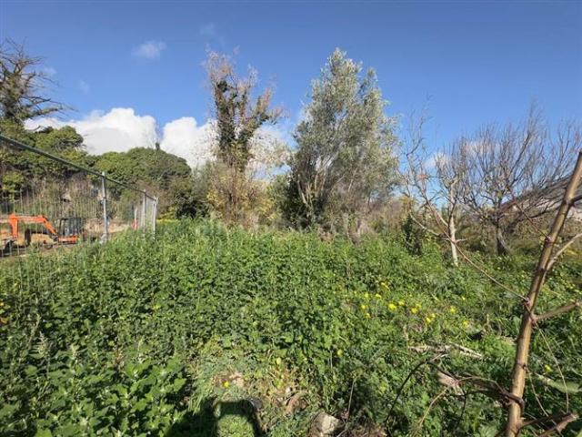 Edificabile Residenziali di 1600 mq a Centro Aci Sant'Antonio