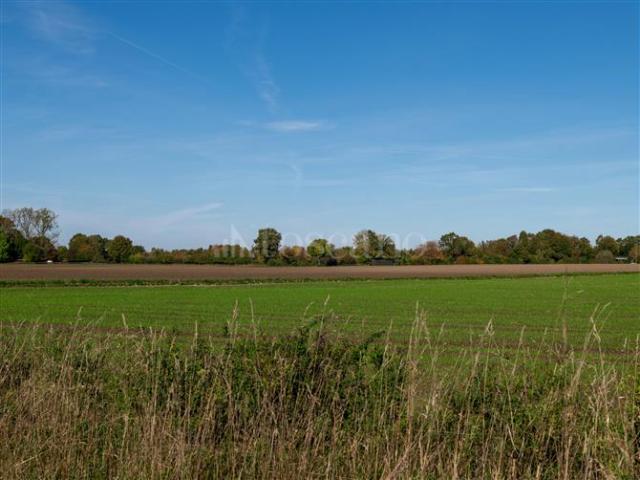 Edificabile Residenziali di 2500 mq a Sant'Ilario Cisterna di Latina