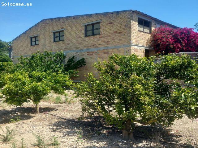 Edificio Agrícola en Venta con 10.805 m2 de Naranjos Productivos y Vistas a la Montaña – Cerca de Bi