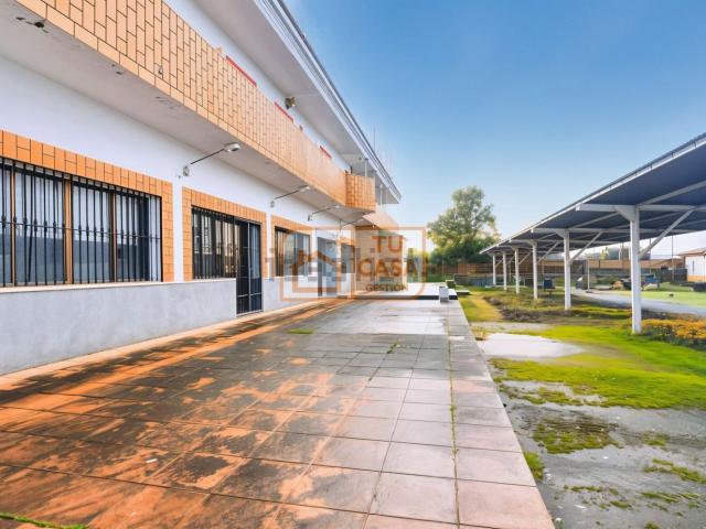 Edificio, Casas de Don Antonio