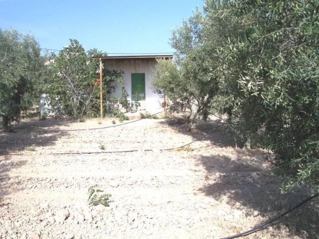 Edificio en venta en Aspe Alicante