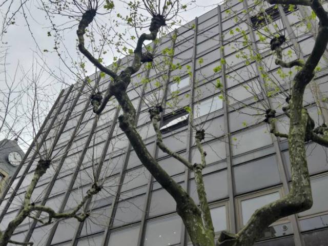Edificio en alquiler en Centro 20004