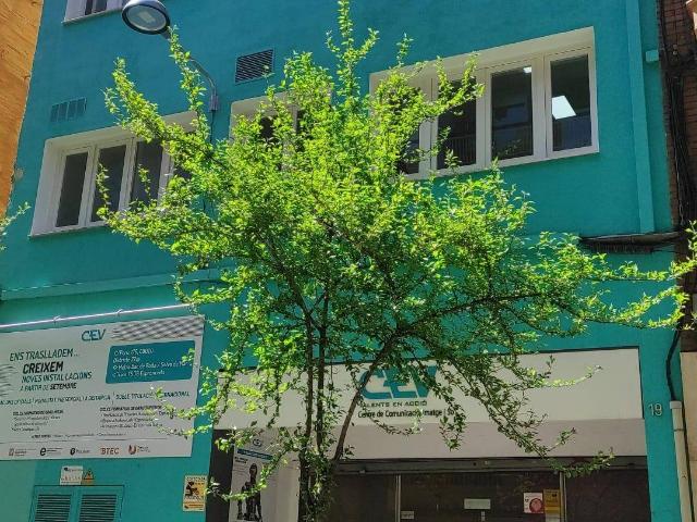 Edificio en Alquiler en La Bordeta