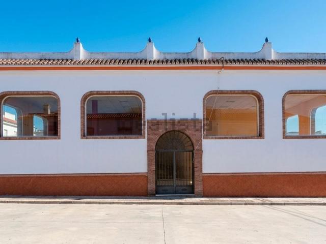 Edificio, Guaro