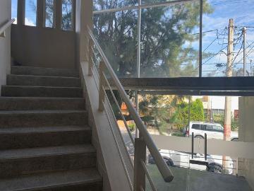 Edificio piso completos en renta en chapalita