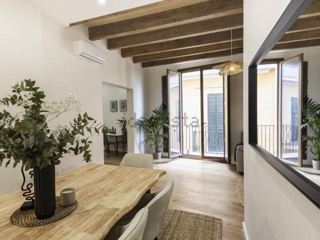 Edificio, Cort, Palma de Mallorca