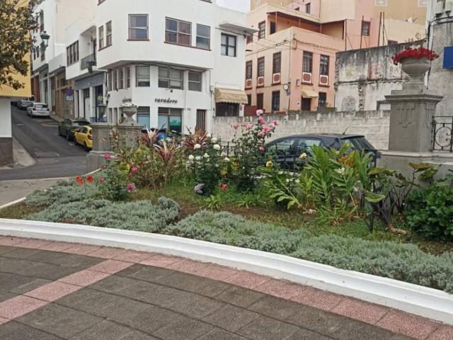 Edificio, San Andrés y Sauces