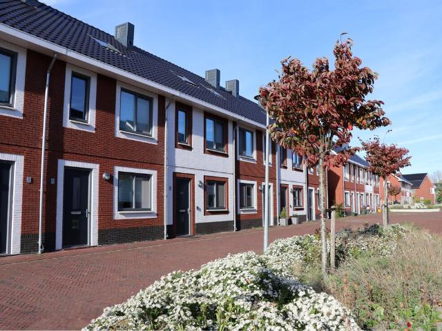 Eengezinswoning, tussenwoning te huur in Schiedam