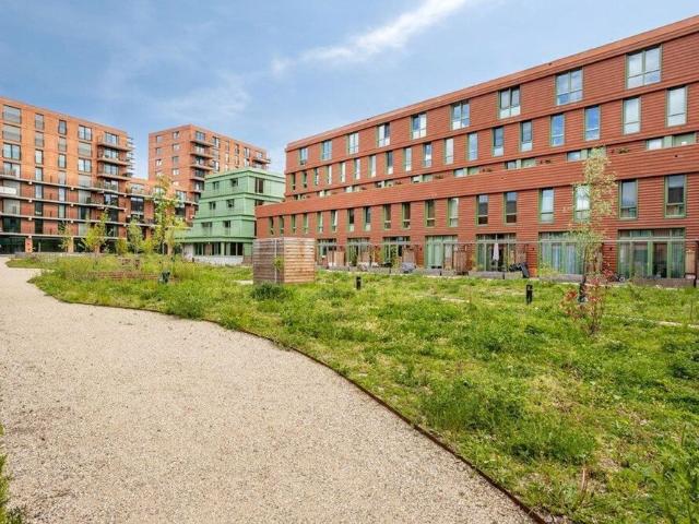 Eengezinswoning, Tussenwoning te huur in Rotterdam
