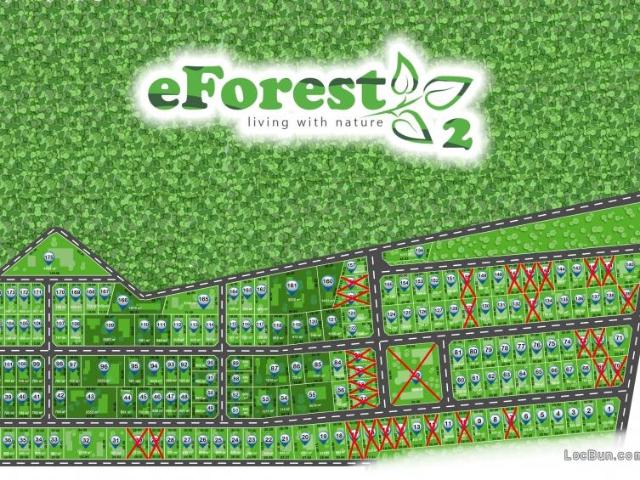 eForest 2, loturi de casa la liziera padurii, in Crevedia