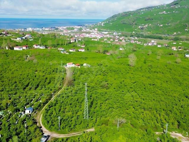 EFİRLİDE EMSALLERİNİN ÇOK ALTINDA FIRSAT ARSA !