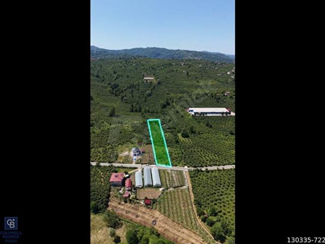 EFİRLİ'DE SATILIK 2.500 M ANA YOLA CEPHELİ ARSA
