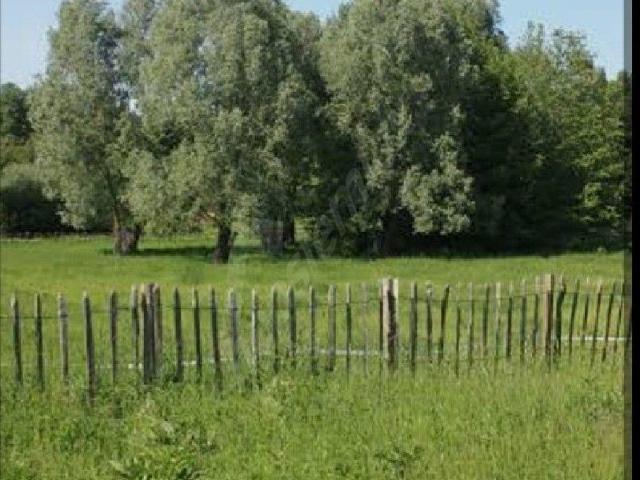 ÇEKİRDEKSİZ KÖYÜ SATILIK ARSA