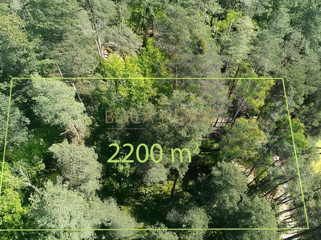 Ekskluzywna działka 2200 m² w Wawrze, las i prywatność