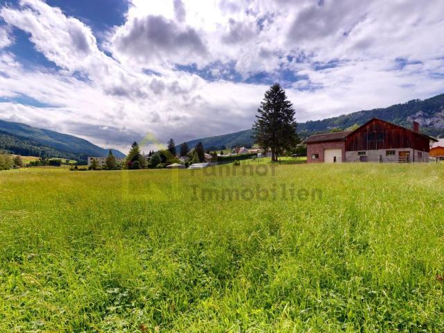 Ehem. Bauernhaus mit Oekonomiegebäuden und 4'800 m2 Land | dreamo. Ch