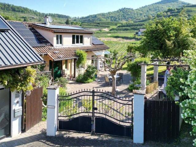 Ehemaliger Winzerhof in traumhafter Randlage umgeben von Weinbergen
