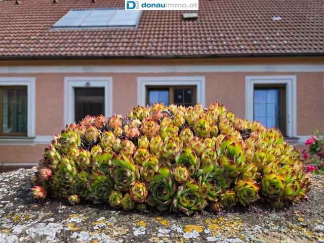 Ehemaliges Bauernhaus mit Garten und viel Potenzial