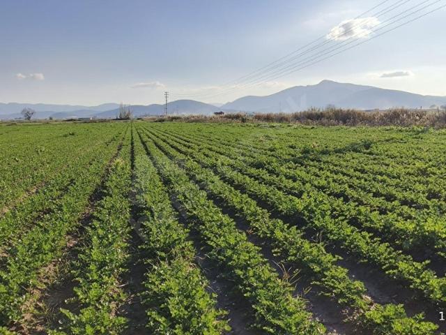 Şehitlerler'de 9125 m2 Tek Tapu Yol Üstü Arazi