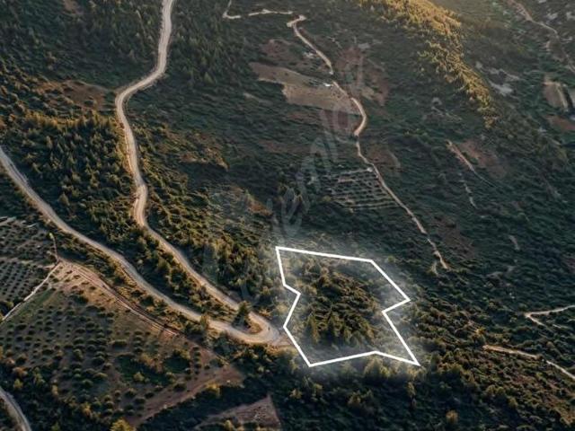 ŞEHİR GÜRÜLTÜSÜNDEN UZAK MUHTEŞEM TEK TAPU FIRSAT TOPRAK