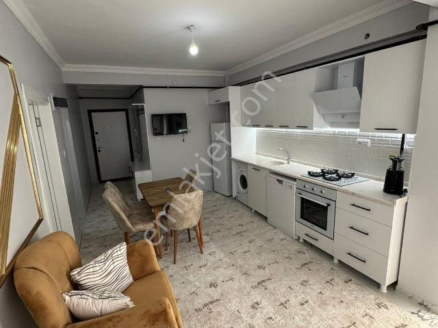 Şehir Merkezinde Eski Avm Arkasında Kiralık Ful Dayalı Döşeli 1+1 Daire