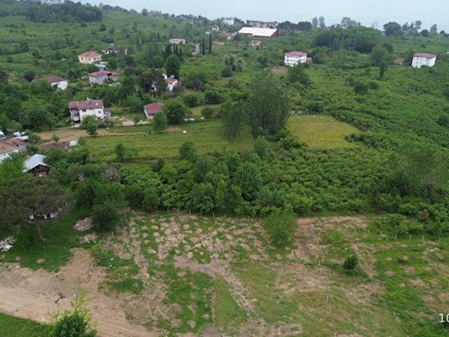 Şehir Hastanesine 1 Adımda 1.521 m Arsa Evim Gayrimenkulde!