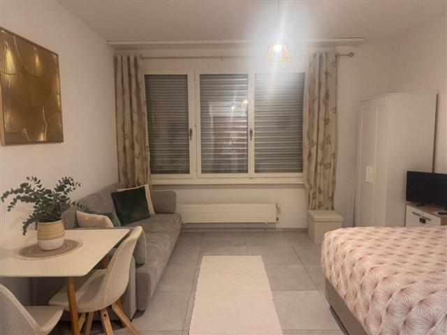 EINZIMMERWOHNUNG IN VEVEY VD, MÖBLIERT, BEFRISTET