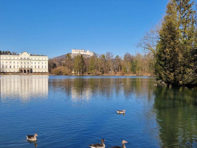 Einzigartige Lage direkt am Leopoldskroner Weiher: Terrasse, Wintergarten, Parkplatz