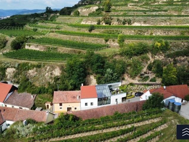 Einzigartige Liegenschaft in der Wachau | Ausgebautes Weinkeller Loft mit WOW Faktor