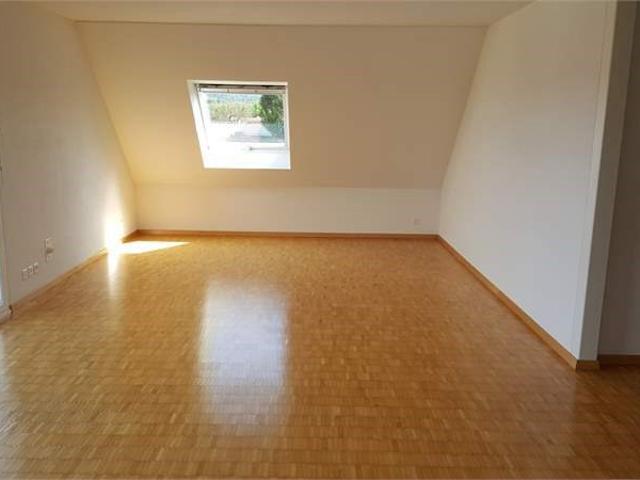 Einzigartige Maisonette Wohnung mit viel Platz in Wolfwil