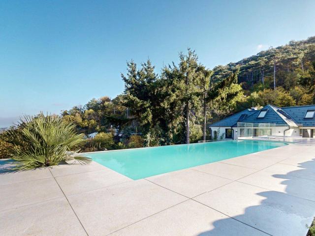 EINZIGARTIGE VILLA MIT INFINITY POOL & BLICK ÜBER DIE DONAU