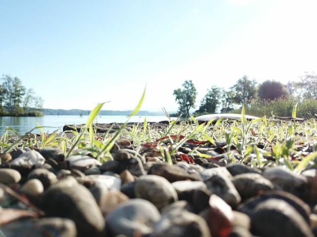 RESERVIERT: Einzigartiges Juwel am See sucht Liebhaber, begleitet mit 2 jährigen Wohnrecht