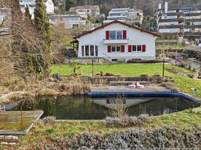 Einzigartiges Anwesen mit Naturpool, Weinberg und Spa Oase in traumhafter Lage von Klingnau