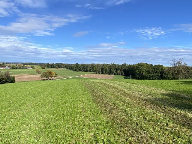 Einzigartiges Baugrundstück mit Wiese in Neu Ulm/Holzschwang