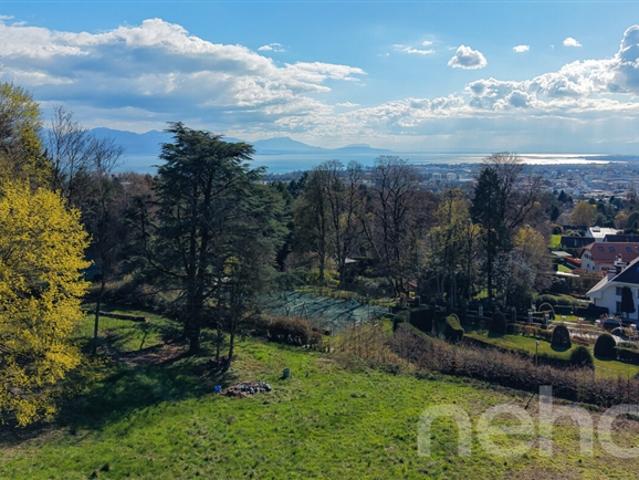 EINZIGARTIGES GRUNDSTÜCK AM WALDRAND AN DEN TOREN VON LAUSANNE