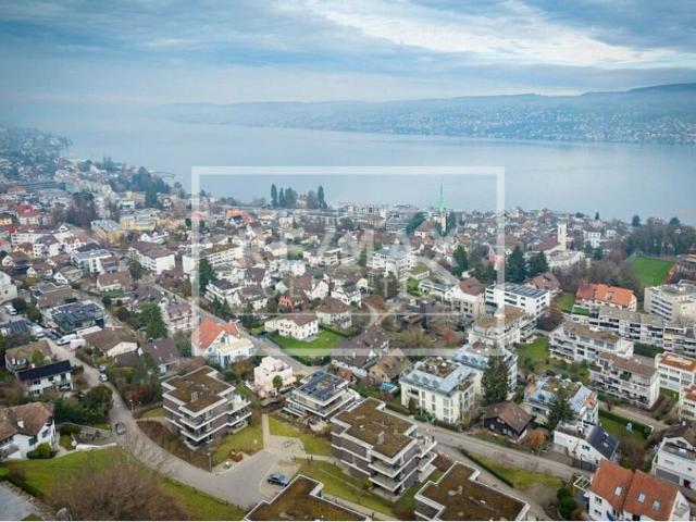 Wunderschönes 7 Zimmer EFH mit hochwertigem Innenausbau in Horgen zu kaufen!