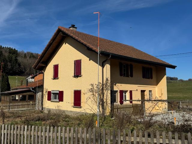 Ein 5 Zimmer Haus wird renoviert