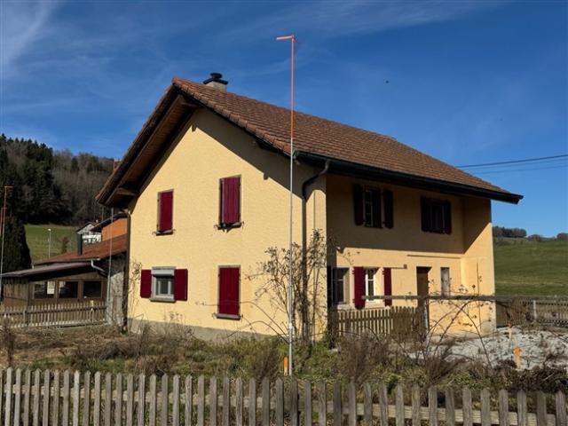 Ein 5 Zimmer Haus wird renoviert