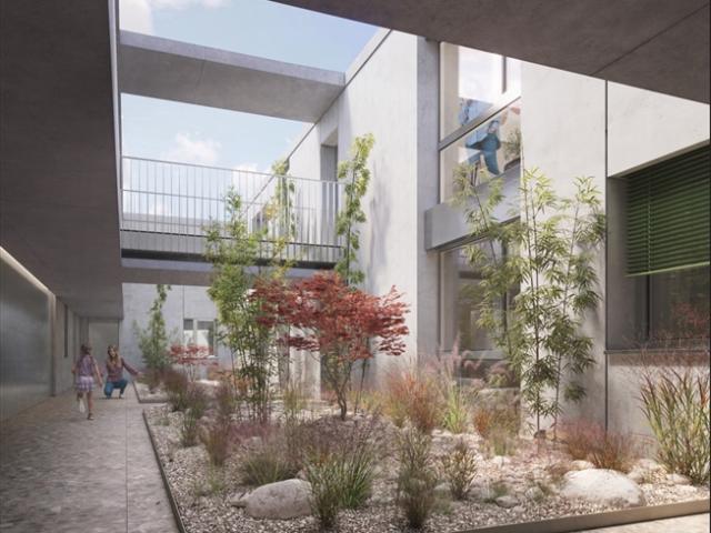 Ein Aktivitätszentrum im Herzen eines neuen lebendigen Komplexes