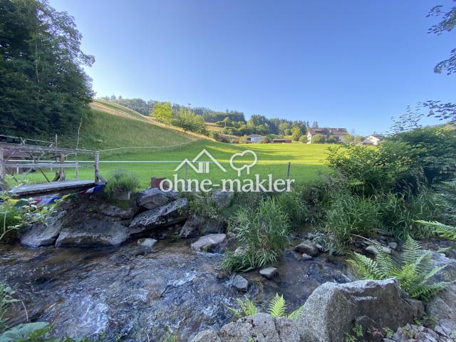 Ein bis Zweifamilienhaus im Grünen