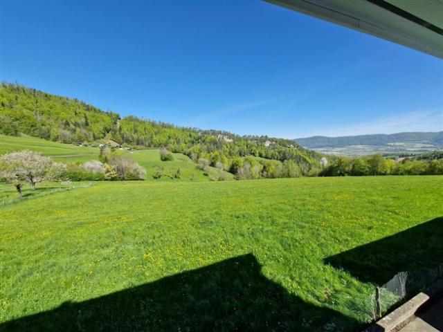 Ein Blick auf die Landschaft für ein friedliches Leben