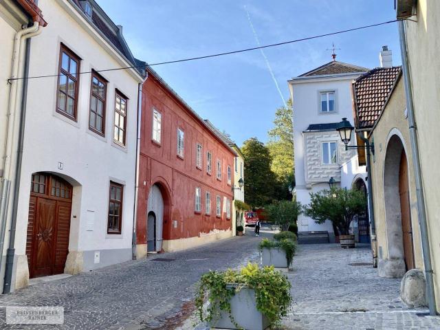 EIN EINZIGARTIGES DENKMAL DER RENAISSANCE / BAULANDRESERVE / WEINKELLER, HEURIGER